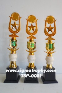 Jual Piala Trophy Murah , Daftar Harga Trophy, Katalog Trophy TSP-008i DSC02561iy copy